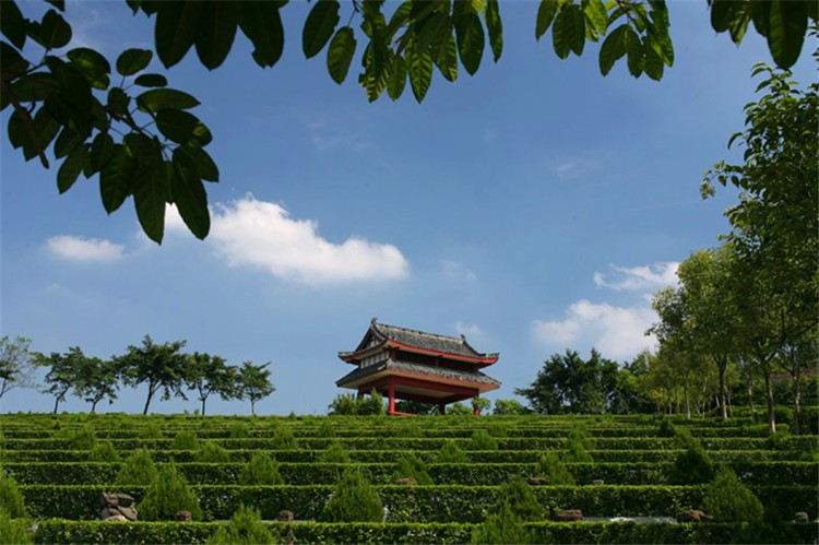 长松寺公墓园区景观